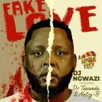 DJ Ngwazi – Fake Love