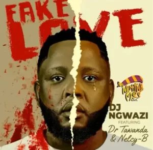 DJ Ngwazi – Fake Love