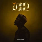 Harrycane – Dubula Dubula Album