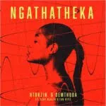 Ntokzin – Ngathatheka