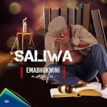 Saliwa – Ngeke sibuyelane