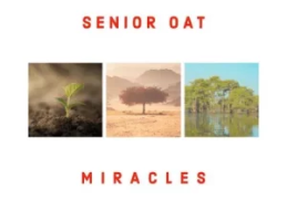 Senior Oat – Find You (Radio Edit) Ft Alice Orion