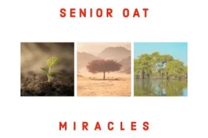 Senior Oat – Find You (Radio Edit) Ft Alice Orion