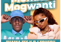 Thama Tee & DJ Tshegu – Monate mogwanti 2.0