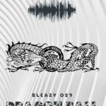 Sleazy 027 – Night Friends