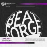 QubiqueSmall – Leakage