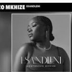 Nontokozo Mkhize – Walenga