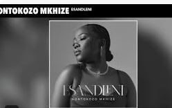 Nontokozo Mkhize – Walenga