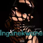 DJSkapter – Ingunekwane
