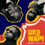Harmonize, Focalistic & Chicco – Uko Wapi