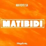 Mayoyo SA – Matibidi
