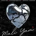 Lesgo 966, SjavasDaDeejay & Musical Xhepard – Mali Yam