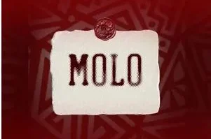 JL SA, Msongi & COON SA – MOLO