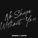 Shimza & LevyM – No Shape Without You