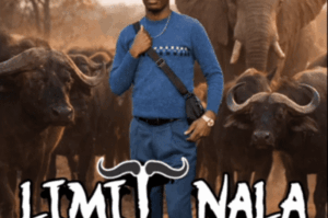 Limit Nala – Ama Buffalo