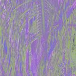 Omagoqa – Jumanji