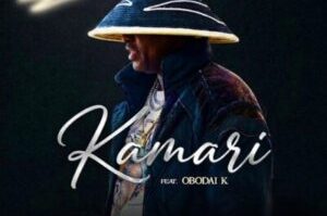 PureVibe – Kamari