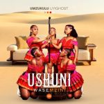 Shuni WaseMzini – Umqothuka