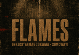 Digital Maskandi, Inkos’yamagcokama & Somcwayi – Flames