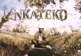 MetroBeatz RSA – General
