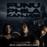 Mido Mi, Lungile Womhlaba & S.Deep.wav – Funu Phila Kanjani