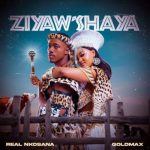 Real Nkosana & Goldmax – Ziyaw’shaya