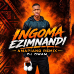 Dj owam – Ingoma Ezimnandi Amapiano REMix