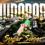 Sugar Sugar - Dodododo Song