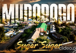 Sugar Sugar - Dodododo Song