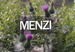 Menzi - Ngeke Ungiphathe Manithi A Siyeke Amadodenu Maskandi